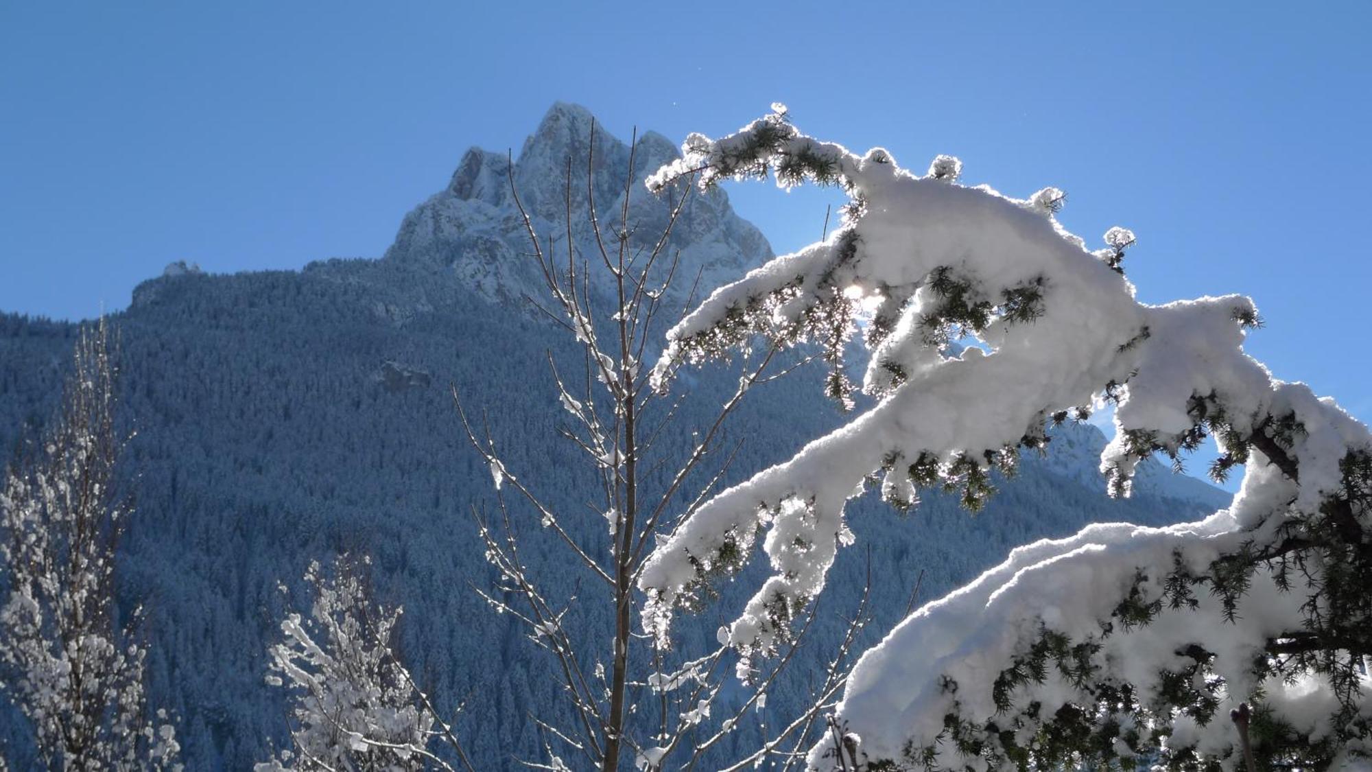 Villa Gemmy Pozza di Fassa Exterior foto